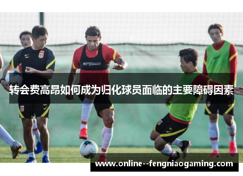 转会费高昂如何成为归化球员面临的主要障碍因素 转会费高昂如何成为归化球员面临的主要障碍因素