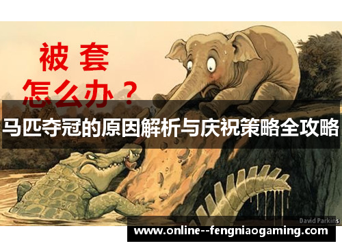 马匹夺冠的原因解析与庆祝策略全攻略 马匹夺冠的原因解析与庆祝策略全攻略